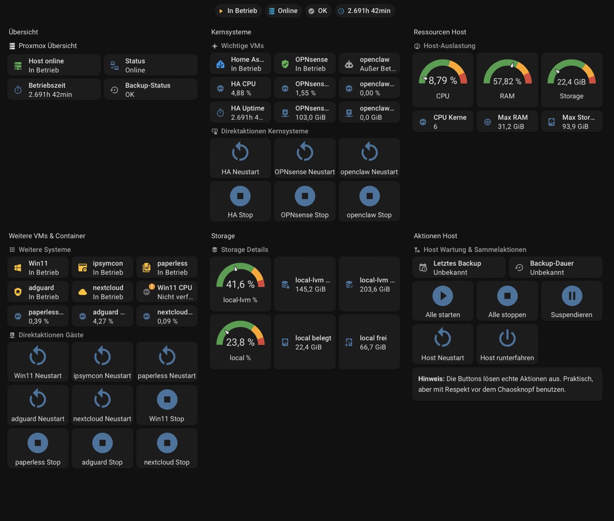 Server-Dashboard mit Systemzuständen und Ressourcen